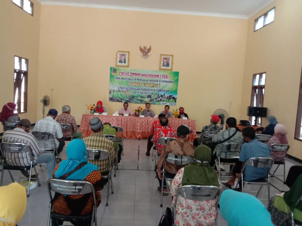 Gema Media Dkpp Kota Mojokerto Gelar Fgd Urban Farming Guna