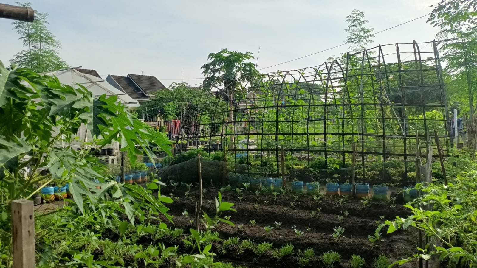 Gema Media Geliat Urban Farming Di Tengah Masyarakat Pj Wali Kota