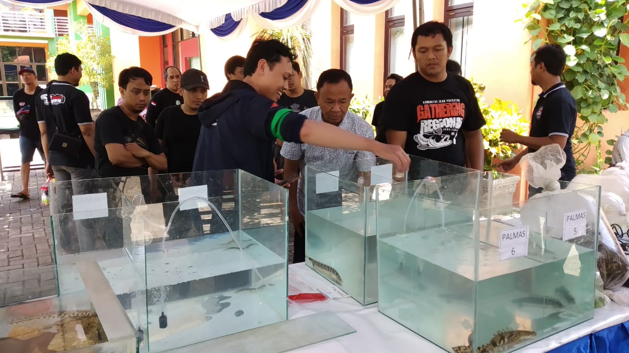 gambar utama