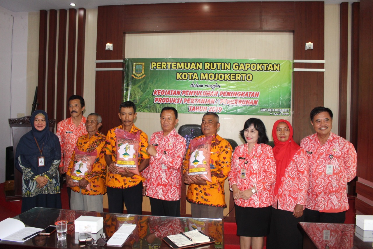 gambar utama