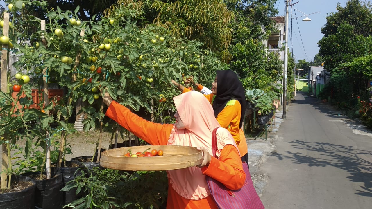 gambar utama