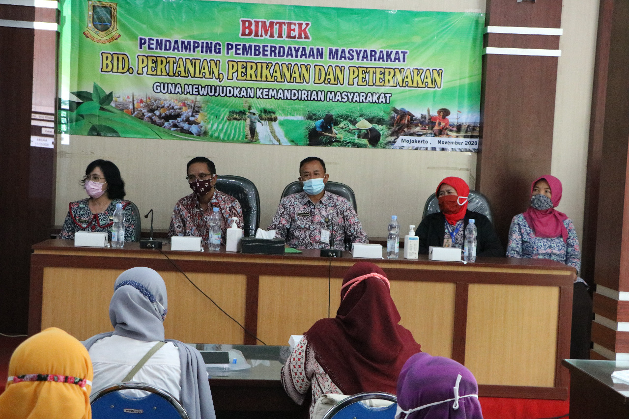 gambar utama