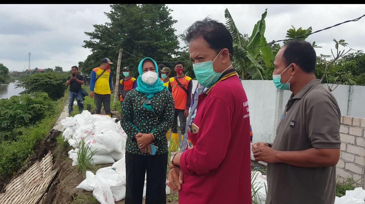 gambar utama