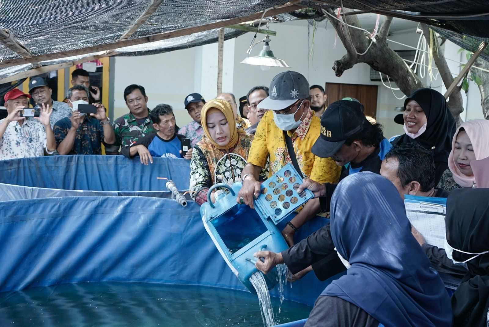 gambar utama