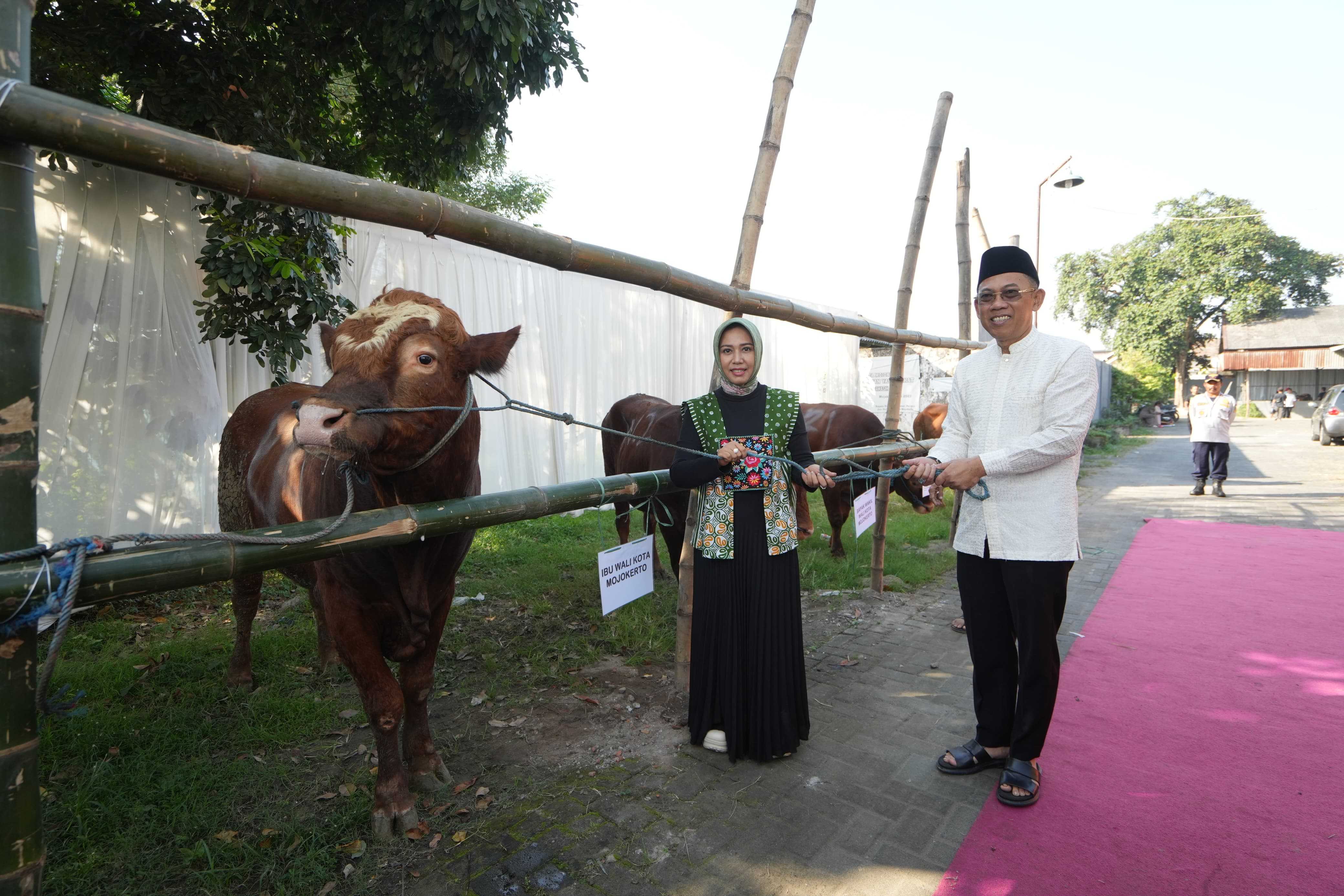 gambar utama